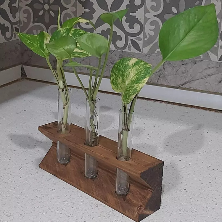 گلدان چوبی با سه ظرف شیشه ای طرح زیگما