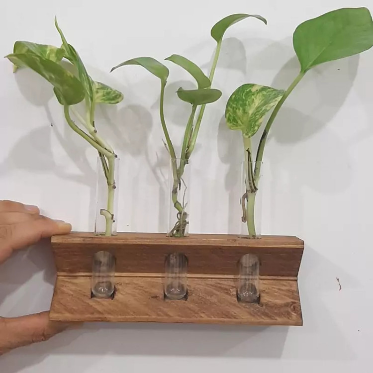 گلدان چوبی با سه ظرف شیشه ای طرح زیگما