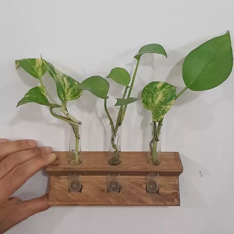 گلدان چوبی با سه ظرف شیشه ای طرح زیگما