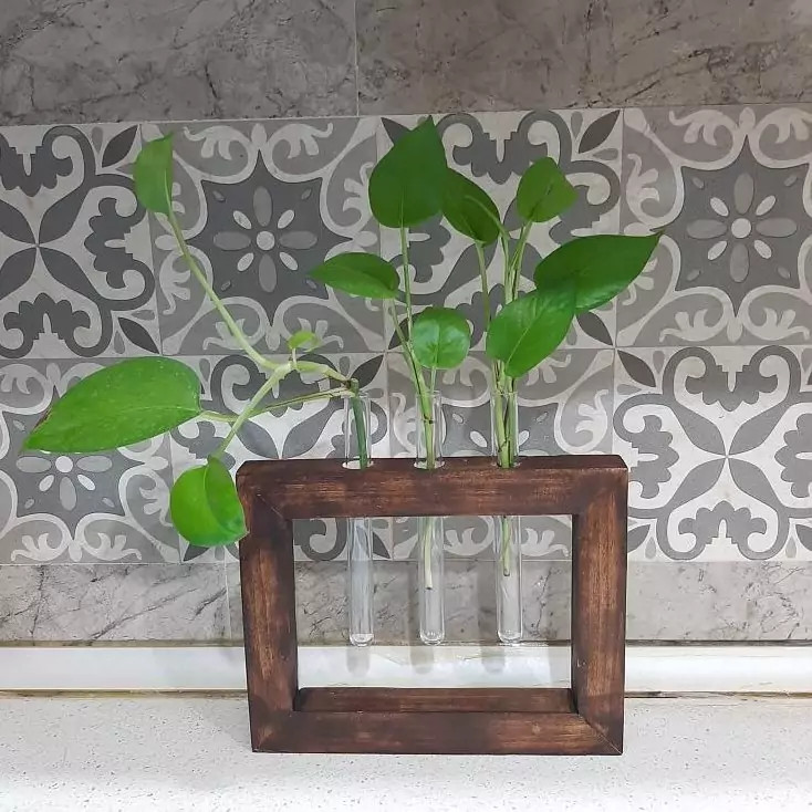 قاب باکس گلدان چوبی دیواری با 2 لوله شیشه ای ظرف گیاه