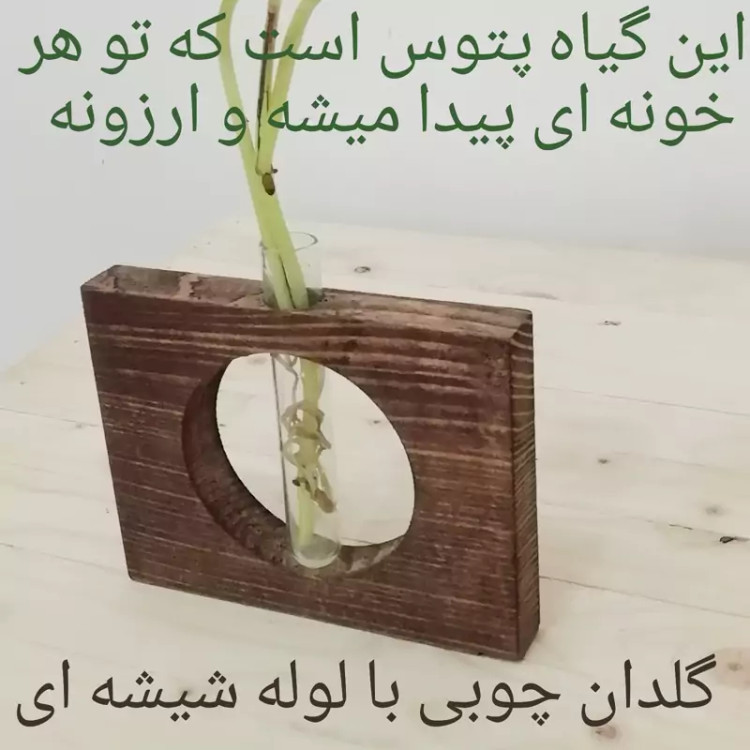 گلدان چوبی فانتزی با لوله شیشه ای
